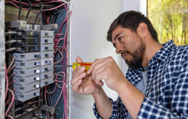 Best Electric Panel Repair  in Mendota, CA